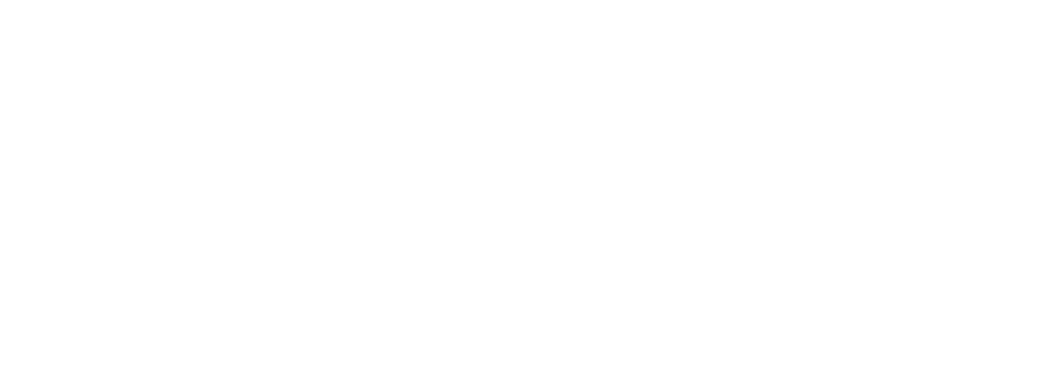 VoPro Pros — No Vote Left Behind